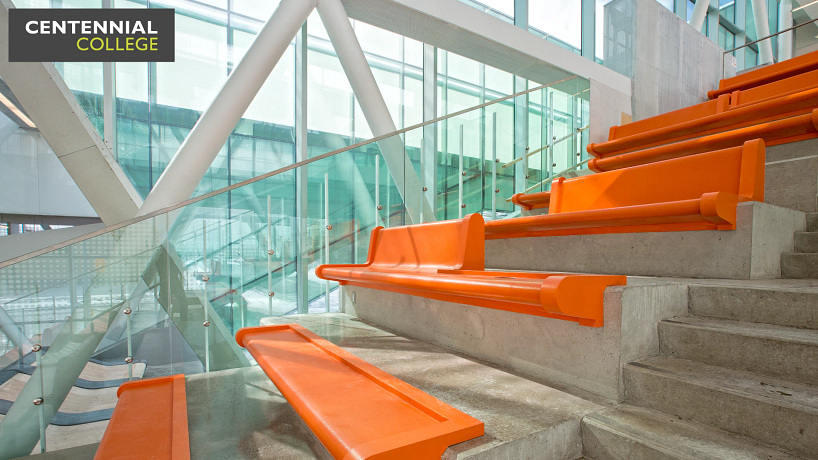 picture of the centennial college ashtonbee campus library steps