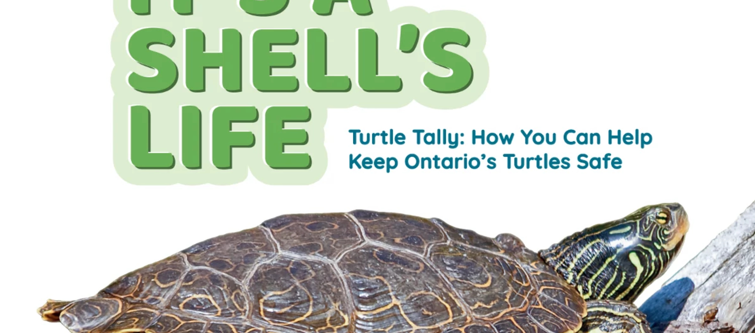 Storyworks Collaborates with the Toronto Zoo Image