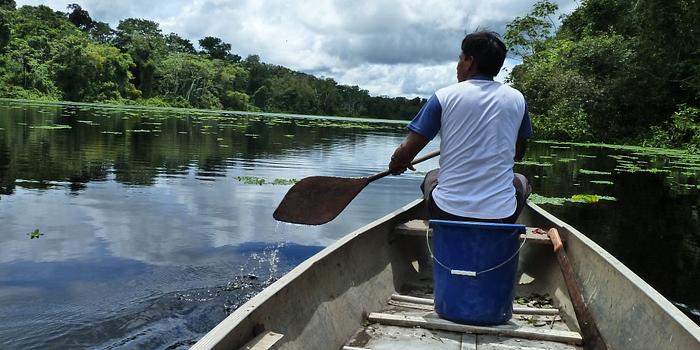 Picture of a man rowing a bow in a river in Peru