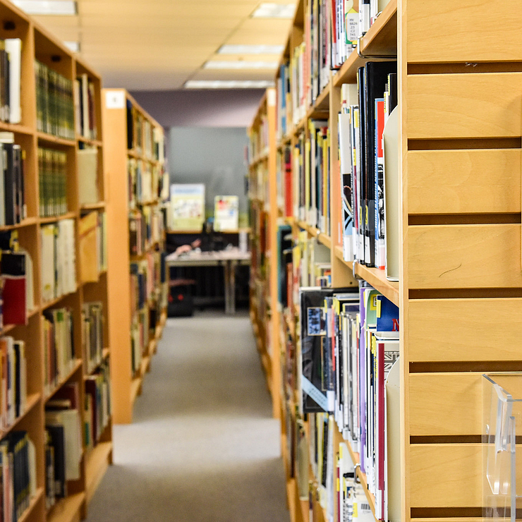library bookshelves