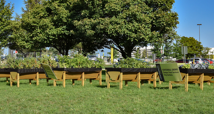 United We Grow: Let's Build a Community of Food Growers Image