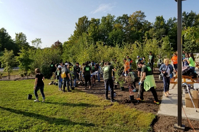 a group of happy volunteers planting trees
