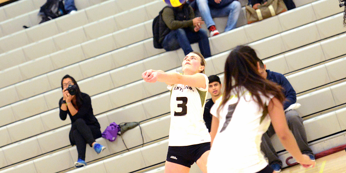 picture of a centennial college student volleyball athlete volleying the ball