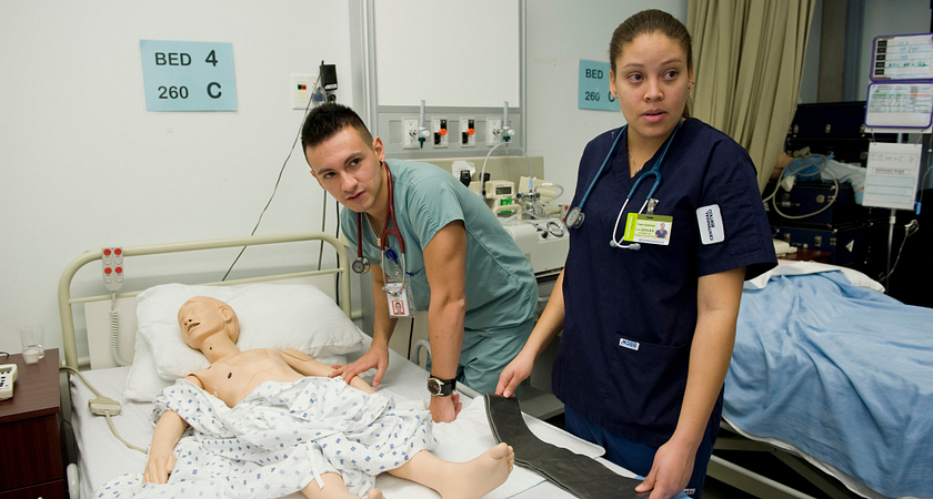 The different levels of nursing Image
