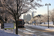 14 tips for driving in the snow Image