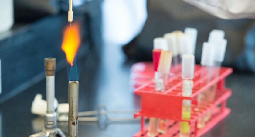 The Secret History of Biotechnology Image
