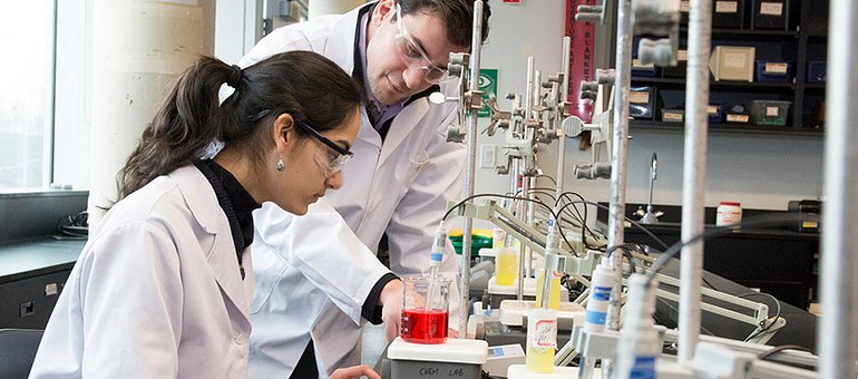 What does a Food Scientist do? Image