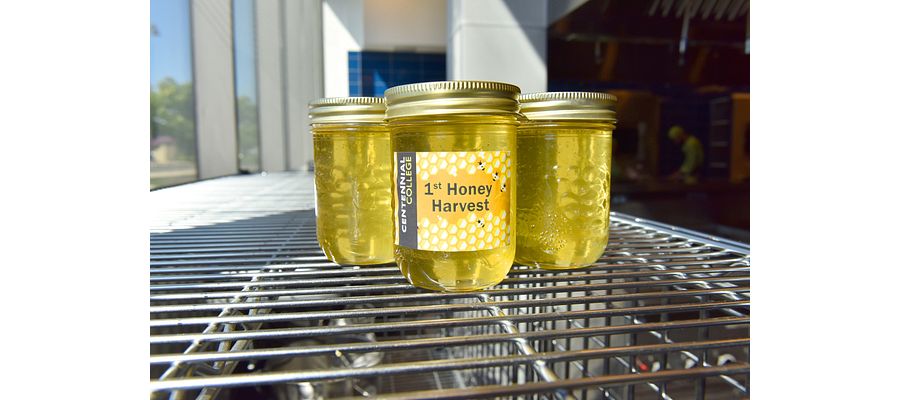 picture of centennial college honey jars on a shelf