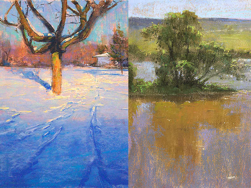 two paintings from dalibor dejanovic's book depicting a tree in the winter and one in a pond during the summer