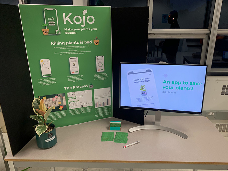 scmad-immt-picture-c