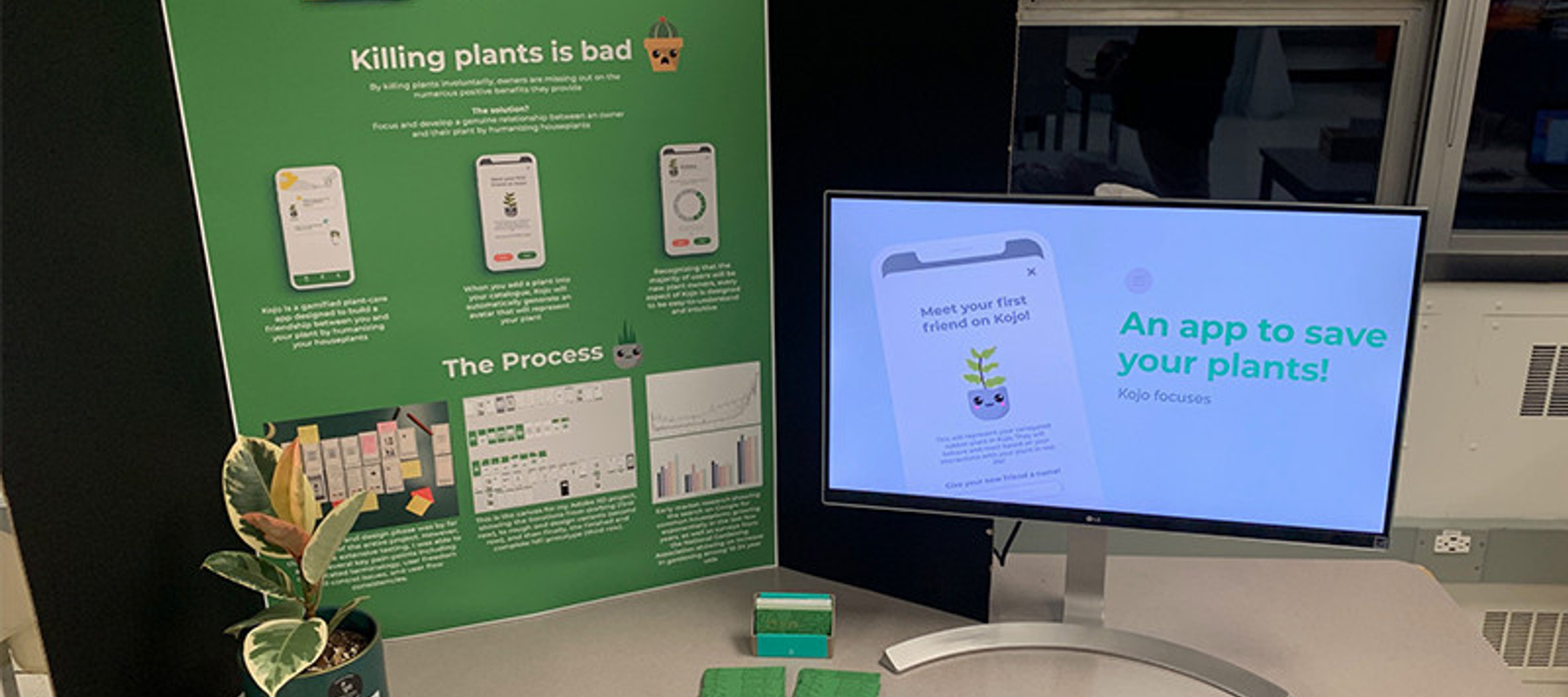 scmad-immt-picture-c