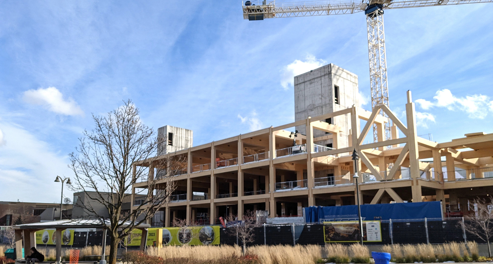 Ontario’s first mass timber academic building is taking shape at Centennial College Image