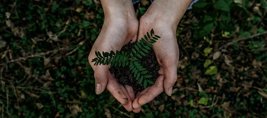 a woman holding a plant in her hands