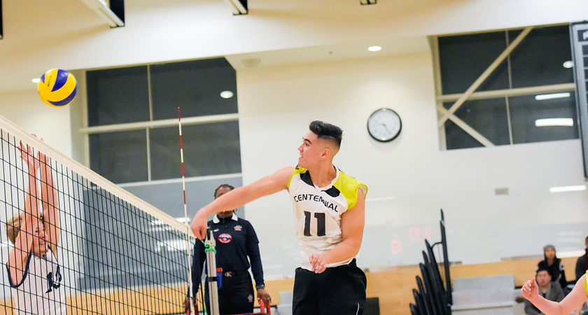 centennial college colt athlete spiking the volleyball over the net