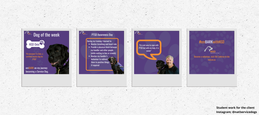 An image with multiple images displaying public relations students work with National Service Dogs