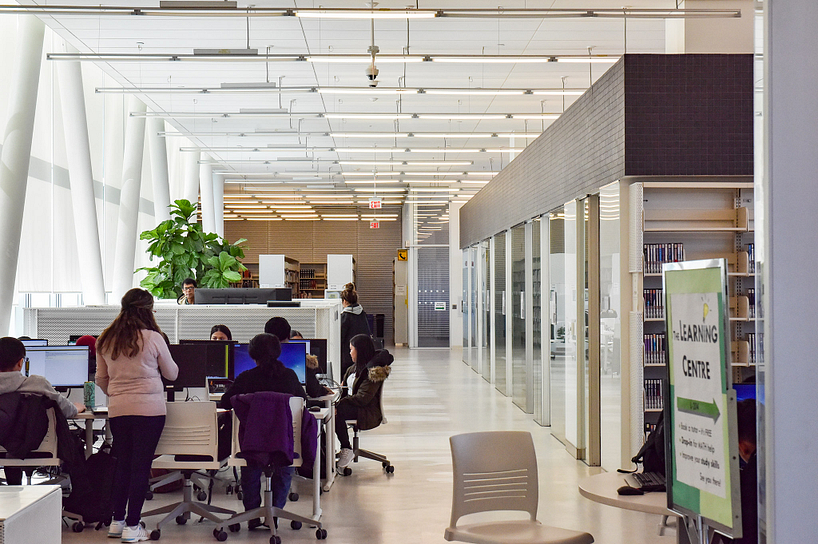 Students studying in the Ashtonbee Library