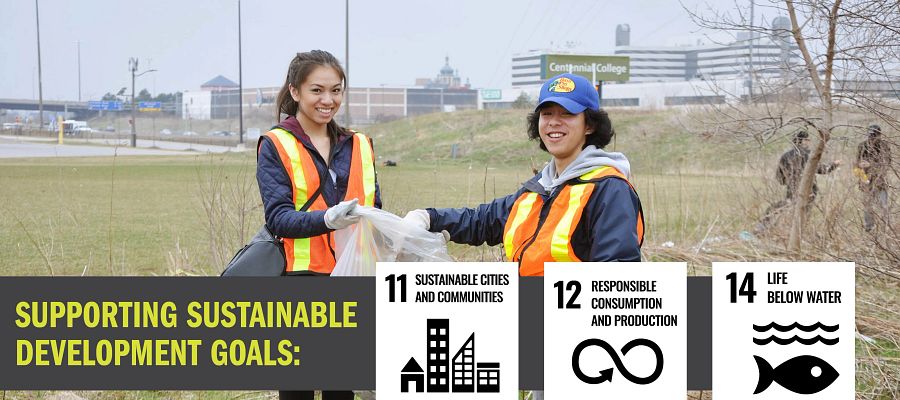 Picture of Sustainability Waste Reduction