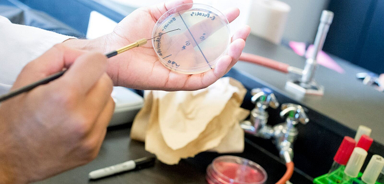lab experiment, image of hands manipulating scientific equipment