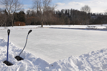 Skating for everyone this Valentine's Day Image