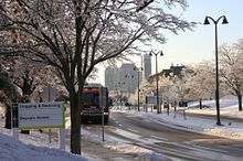 How will you get here? The ups and downs of transit in winter Image