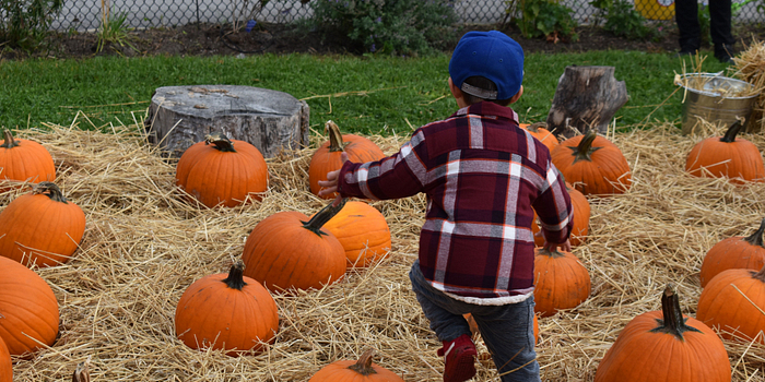 Pumpkin-Patch-daycare-fall-2017