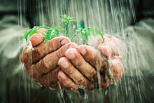 Environmental Students Celebrate Canada Water Week Image