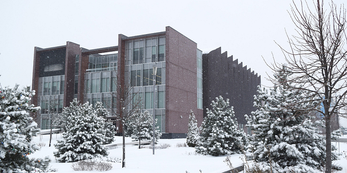 Winter-Progress-0142